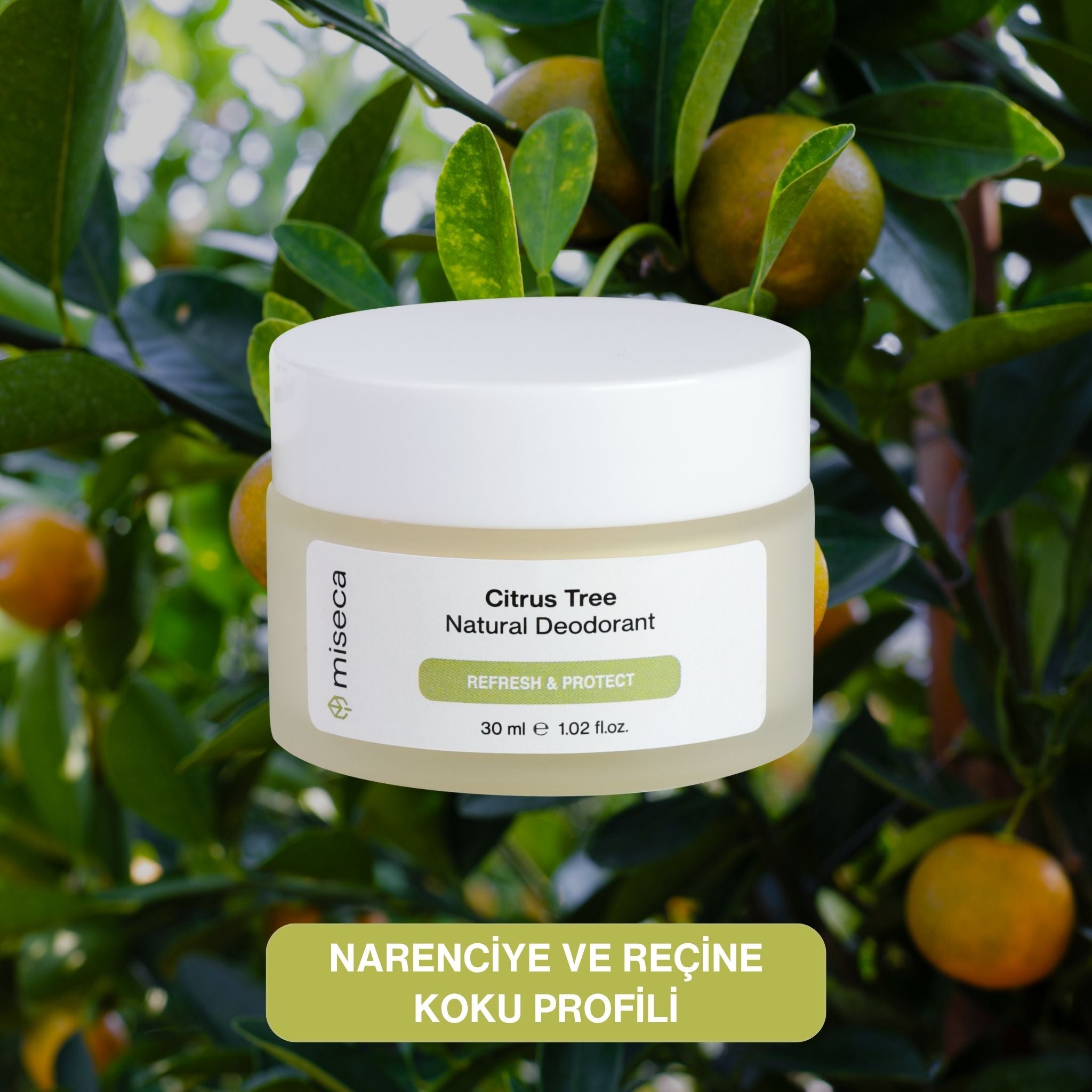Citrus Tree Doğal Krem Deodorant 30 ml