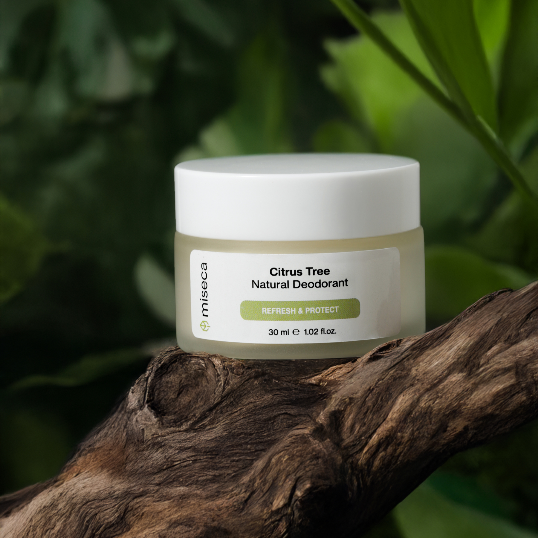 Citrus Tree Doğal Krem Deodorant 30 ml - miseca