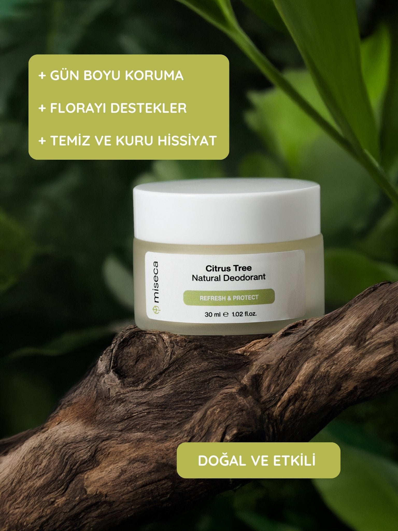 Citrus Tree Doğal Krem Deodorant 30 ml