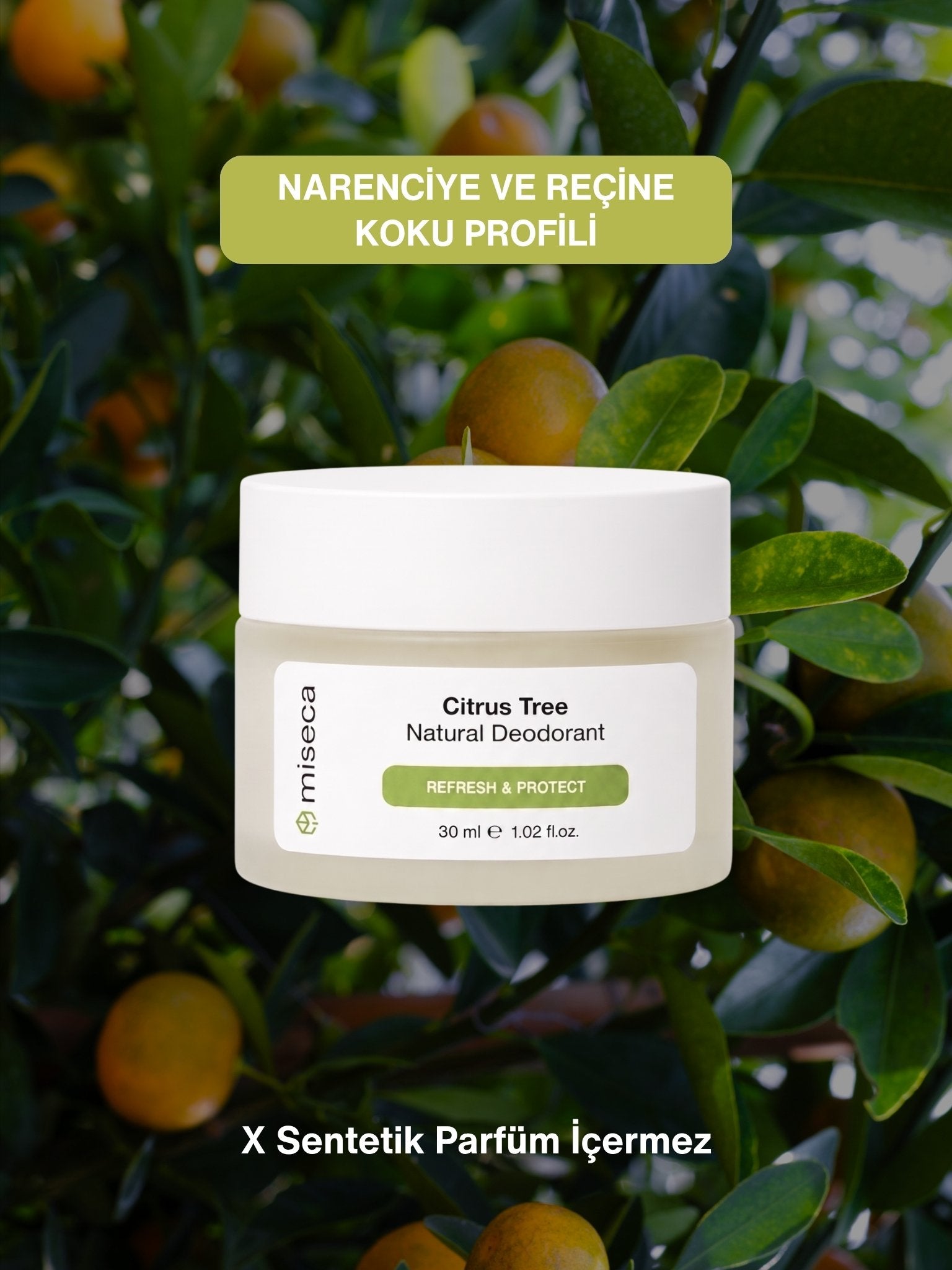 Citrus Tree Doğal Krem Deodorant 30 ml