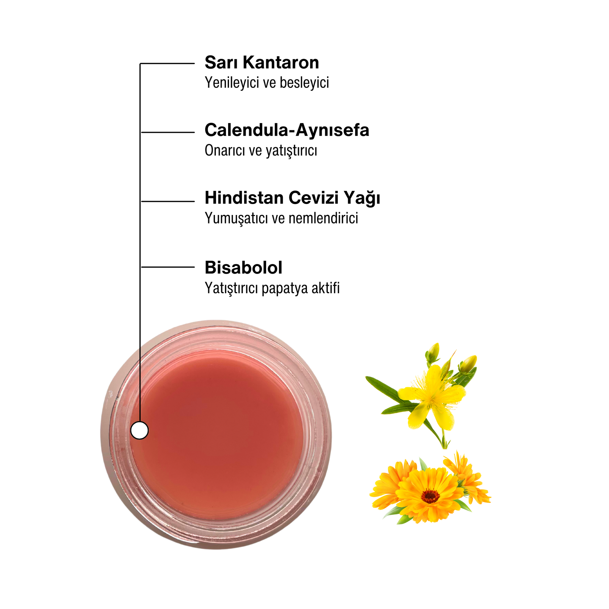 Hypericum Yatıştırıcı ve Onarıcı Kantaron Merhemi 30 ml - miseca