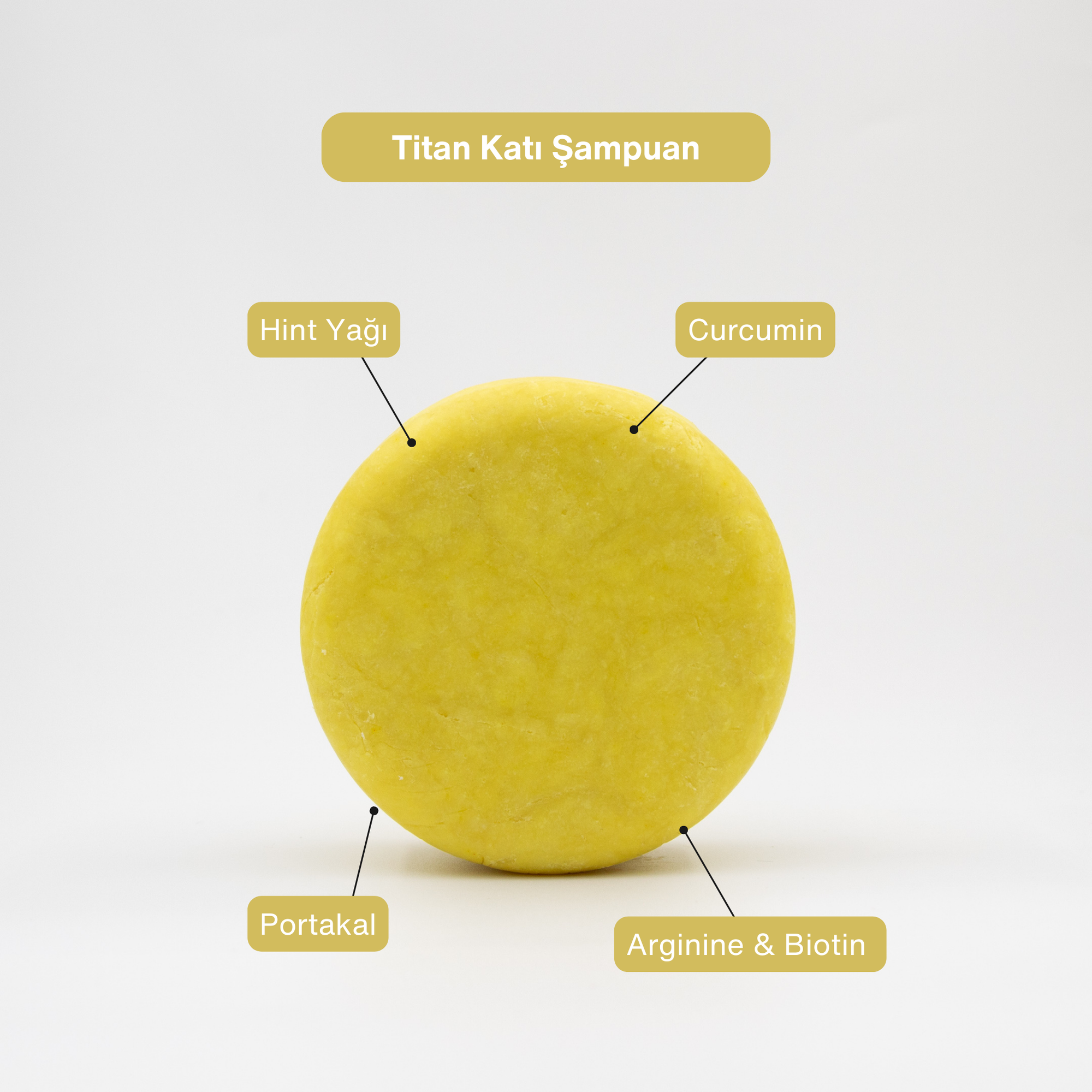Titan Kuru ve Yıpranmış Saçlar Onarıcı Katı Şampuan 105 g - miseca